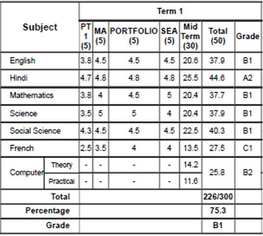 Traditional Term 1 style marksheet with subjects and totals — fragmented grade snapshots only