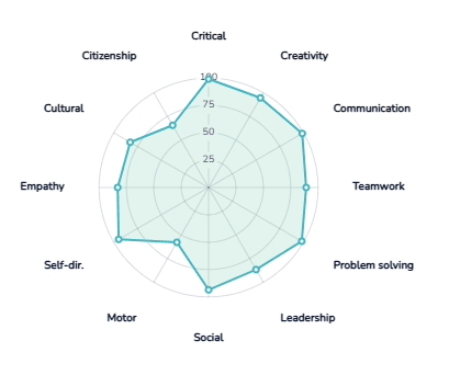 Skill radar chart mapping twelve competency domains